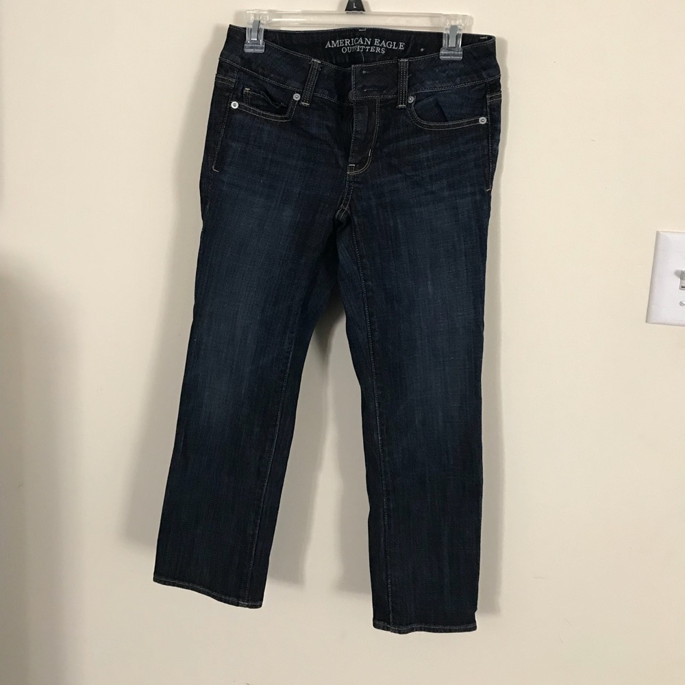 American Eagle Artist Crop Jeans
